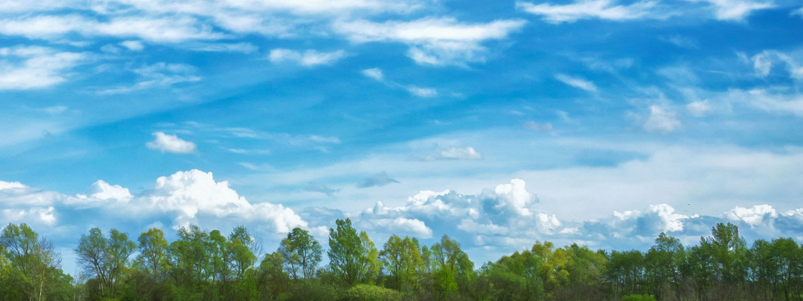COROA DE FLORES EM CURITIBA E REGIÃO