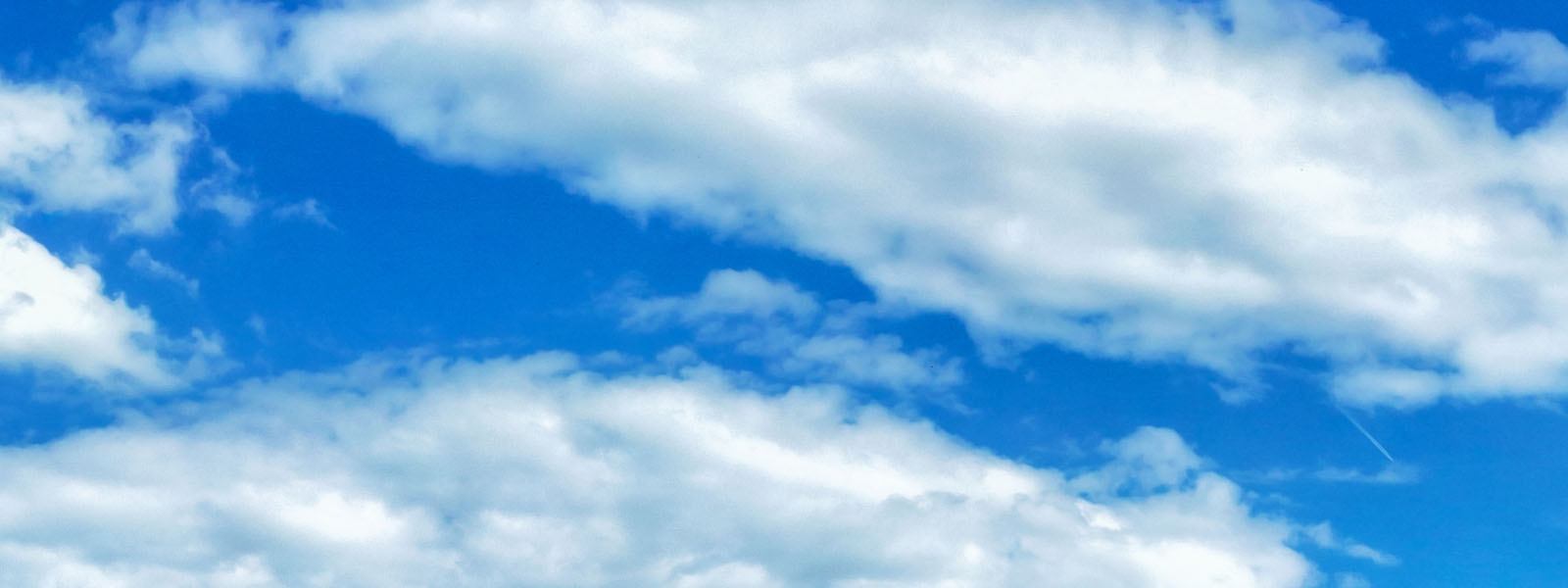 coroas-de-flores-curitiba-regiao-metropolitana